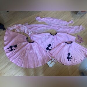 Pink Poodle Skirt Set